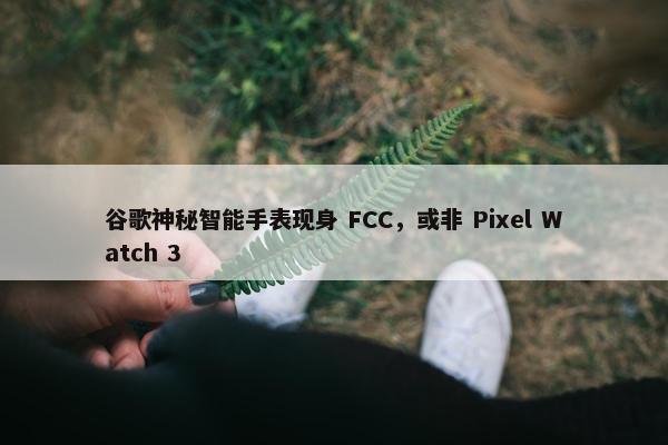 谷歌神秘智能手表现身 FCC，或非 Pixel Watch 3